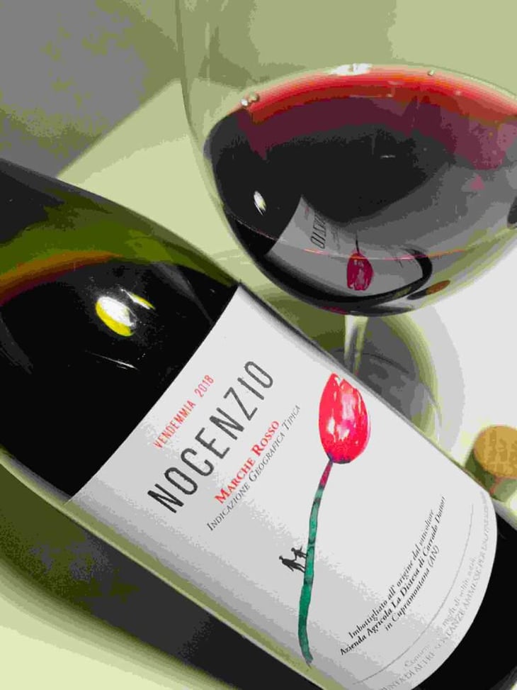 Nocenzio - La Distesa - Corrado Dottori 