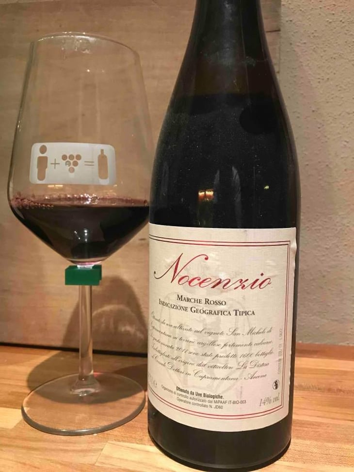 Nocenzio - La Distesa - Corrado Dottori 