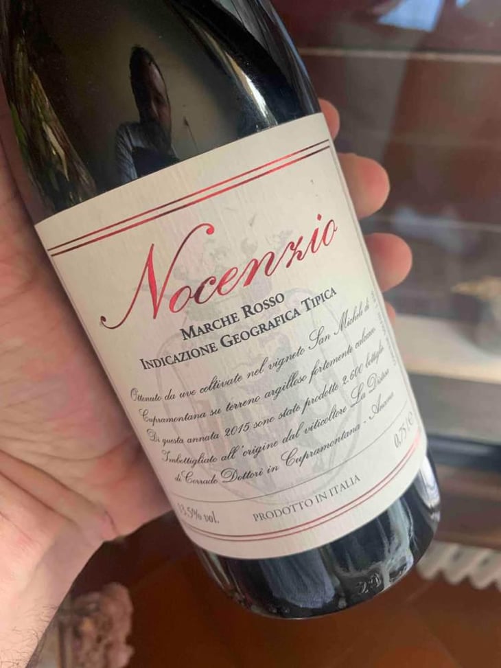 Nocenzio - La Distesa - Corrado Dottori 