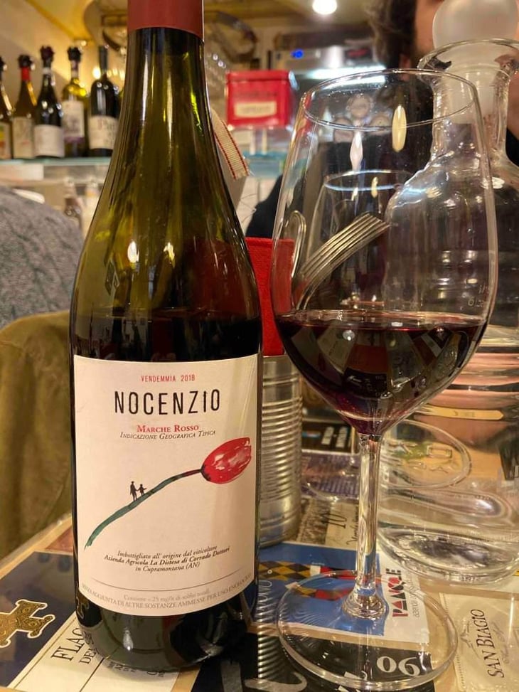 Nocenzio - La Distesa - Corrado Dottori 