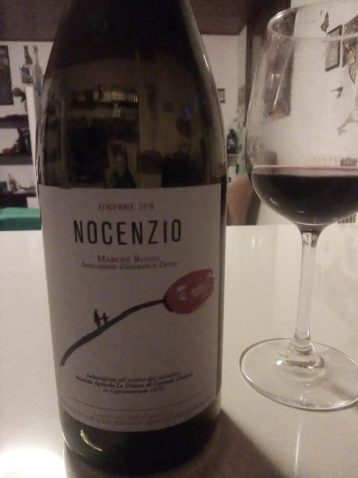 Nocenzio - La Distesa - Corrado Dottori 