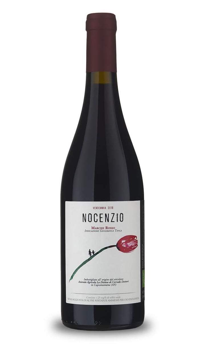 Nocenzio - La Distesa - Corrado Dottori 