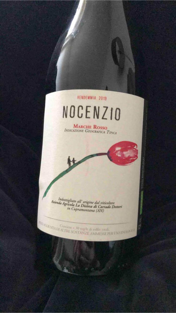 Nocenzio - La Distesa - Corrado Dottori 