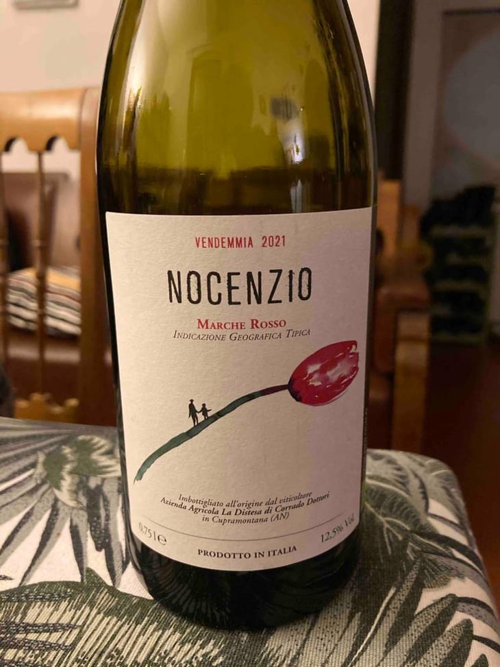 Nocenzio - La Distesa - Corrado Dottori 