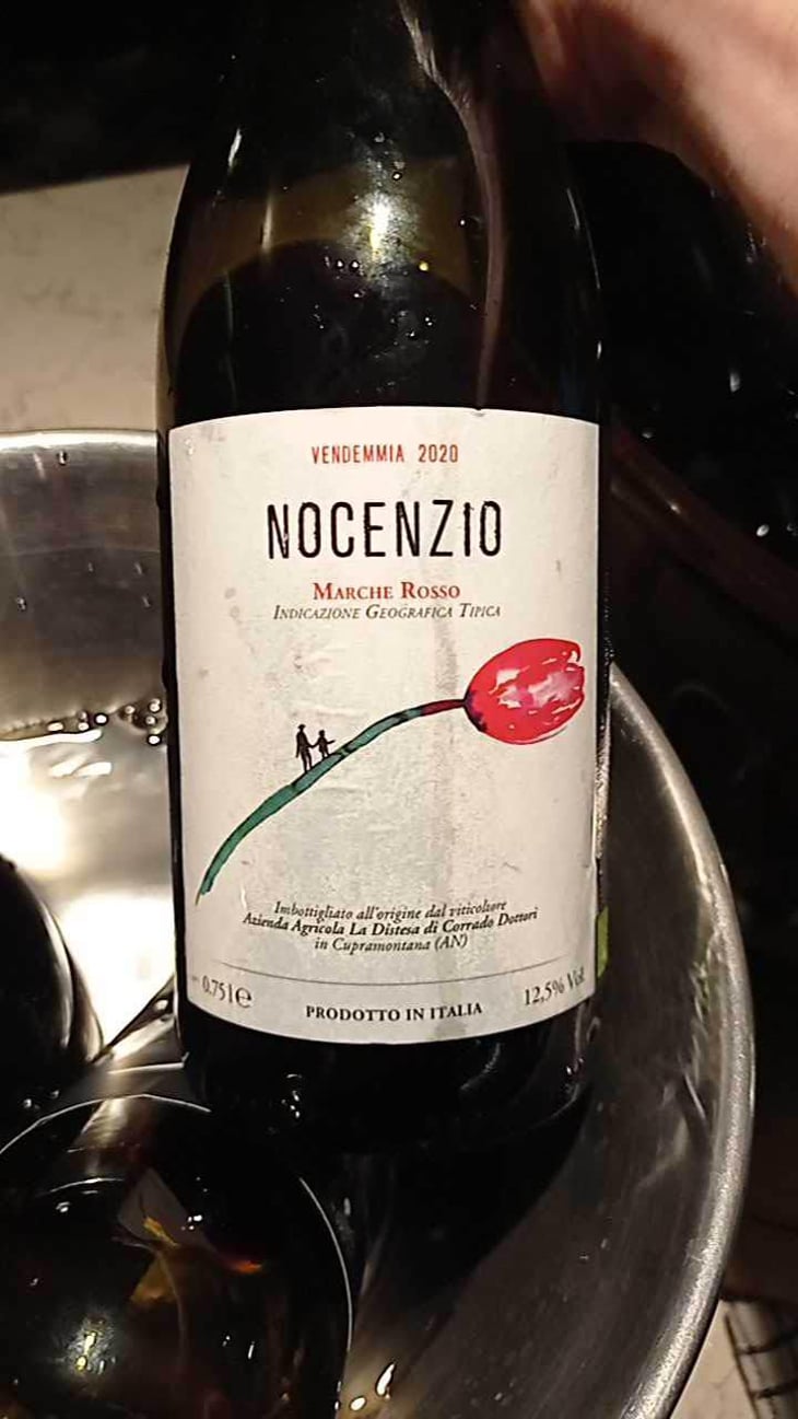 Nocenzio - La Distesa - Corrado Dottori 