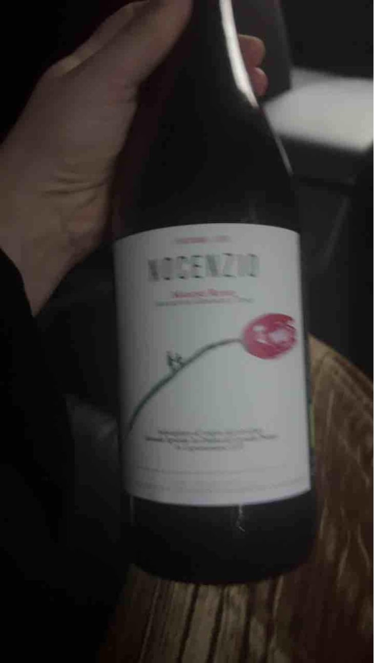 Nocenzio - La Distesa - Corrado Dottori 