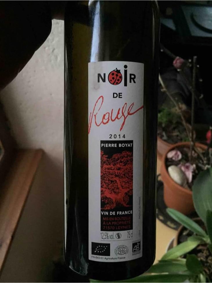 Noir de Rouge - Pierre Boyat - Pierre Boyat 