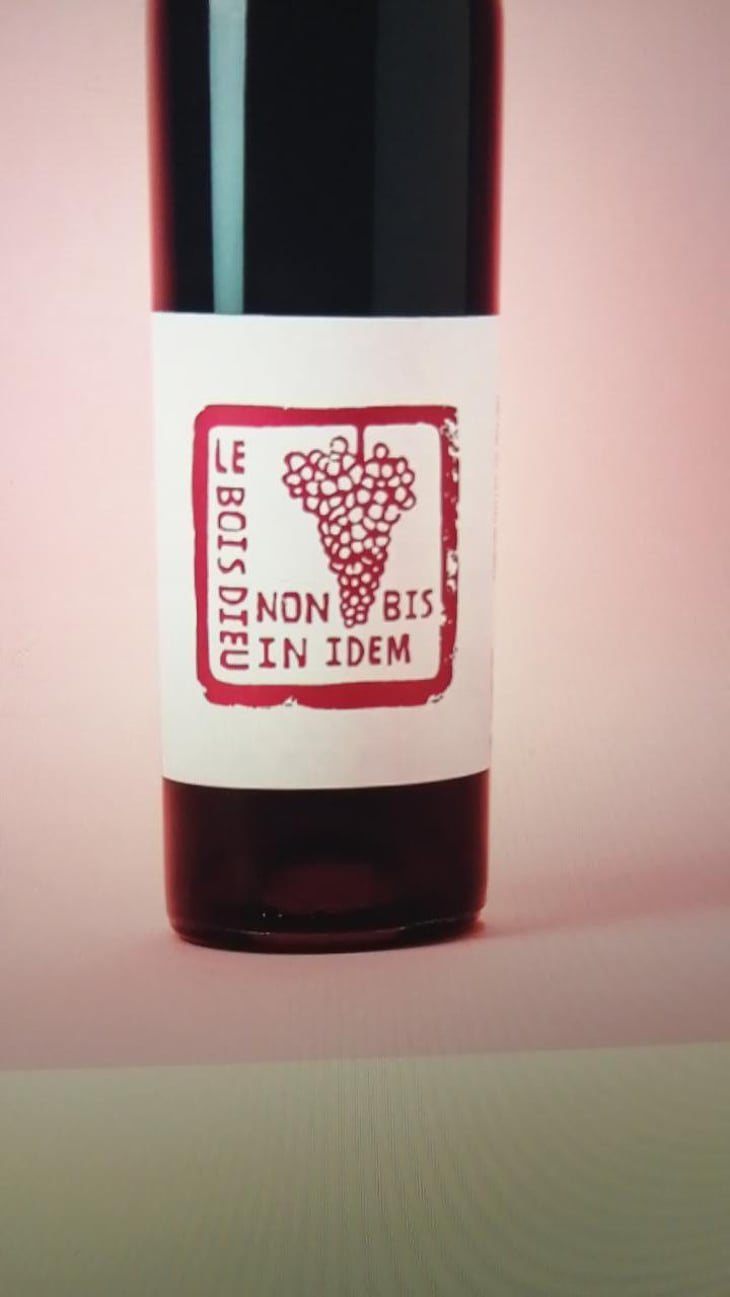 Non Bis In Idem - Le Bois Dieu - Salma Cassam Chenaï & Frédéric Thiry 
