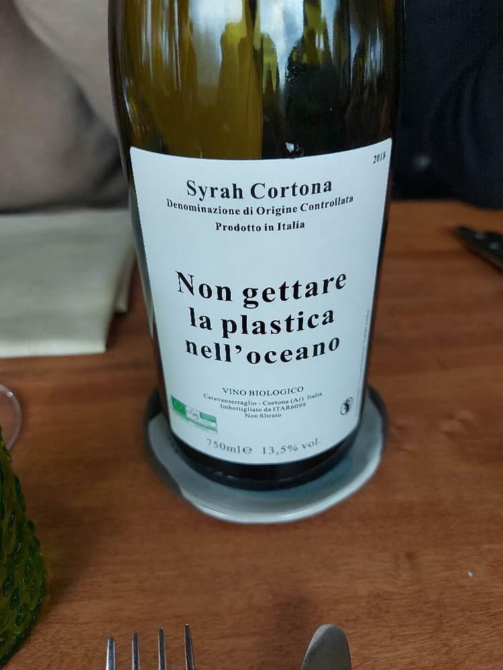 Non gettare plastica nell’oceano - Caravanserraglio - Caravanserraglio -2017