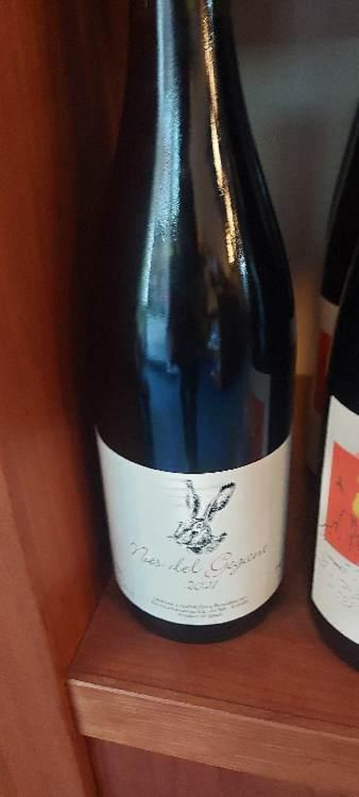 Nas del Gegant Red - Celler Escoda Sanahuja - Joan Ramón Escoda Martinez 