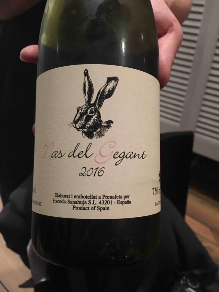 Nas del Gegant Rosé - Celler Escoda Sanahuja - Joan Ramón Escoda Martinez 