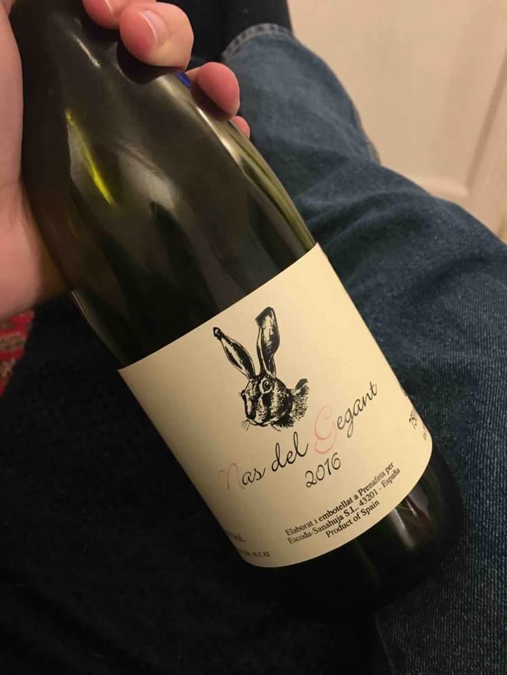 Nas del Gegant Rosé - Celler Escoda Sanahuja - Joan Ramón Escoda Martinez 