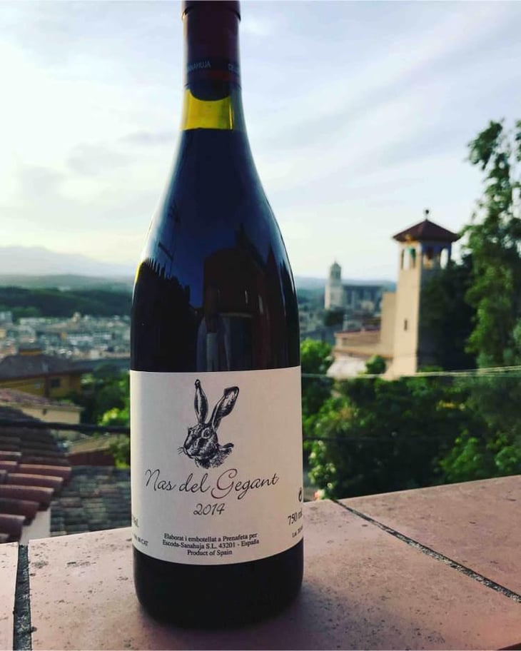 Nas del Gegant Rosé - Celler Escoda Sanahuja - Joan Ramón Escoda Martinez 
