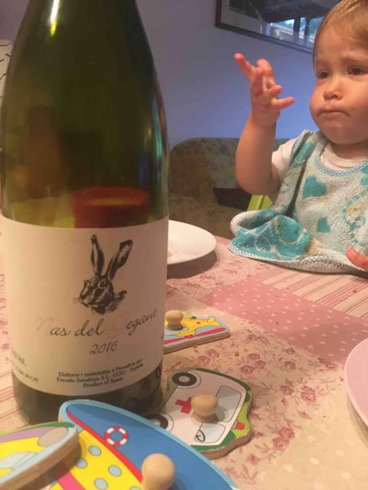 Nas del Gegant Rosé - Celler Escoda Sanahuja - Joan Ramón Escoda Martinez 