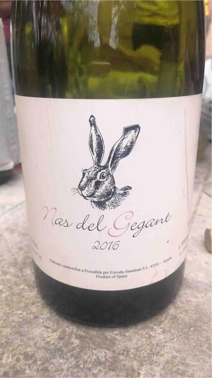 Nas del Gegant Rosé - Celler Escoda Sanahuja - Joan Ramón Escoda Martinez 