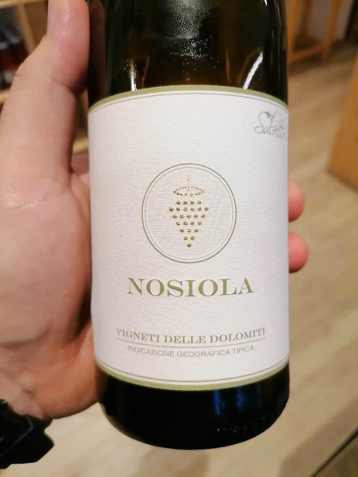 Nosiola - Salvetta azienda agricola - Giancarlo Salvetta 