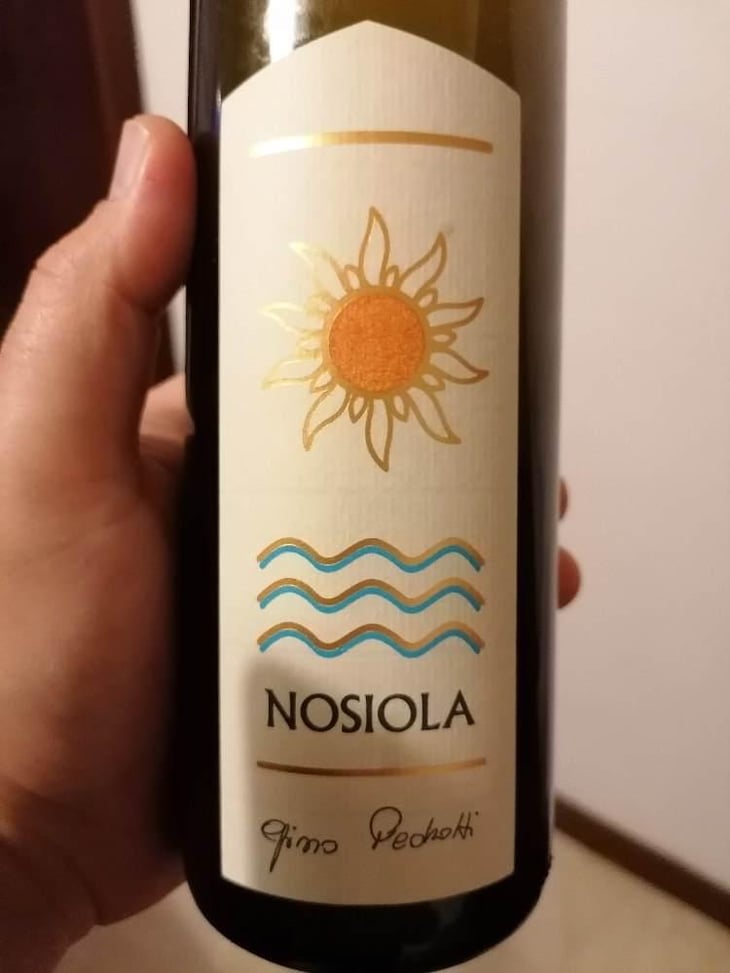 Nosiola - Azienda Agricola Gino Pedrotti - Michele Pedrotti 