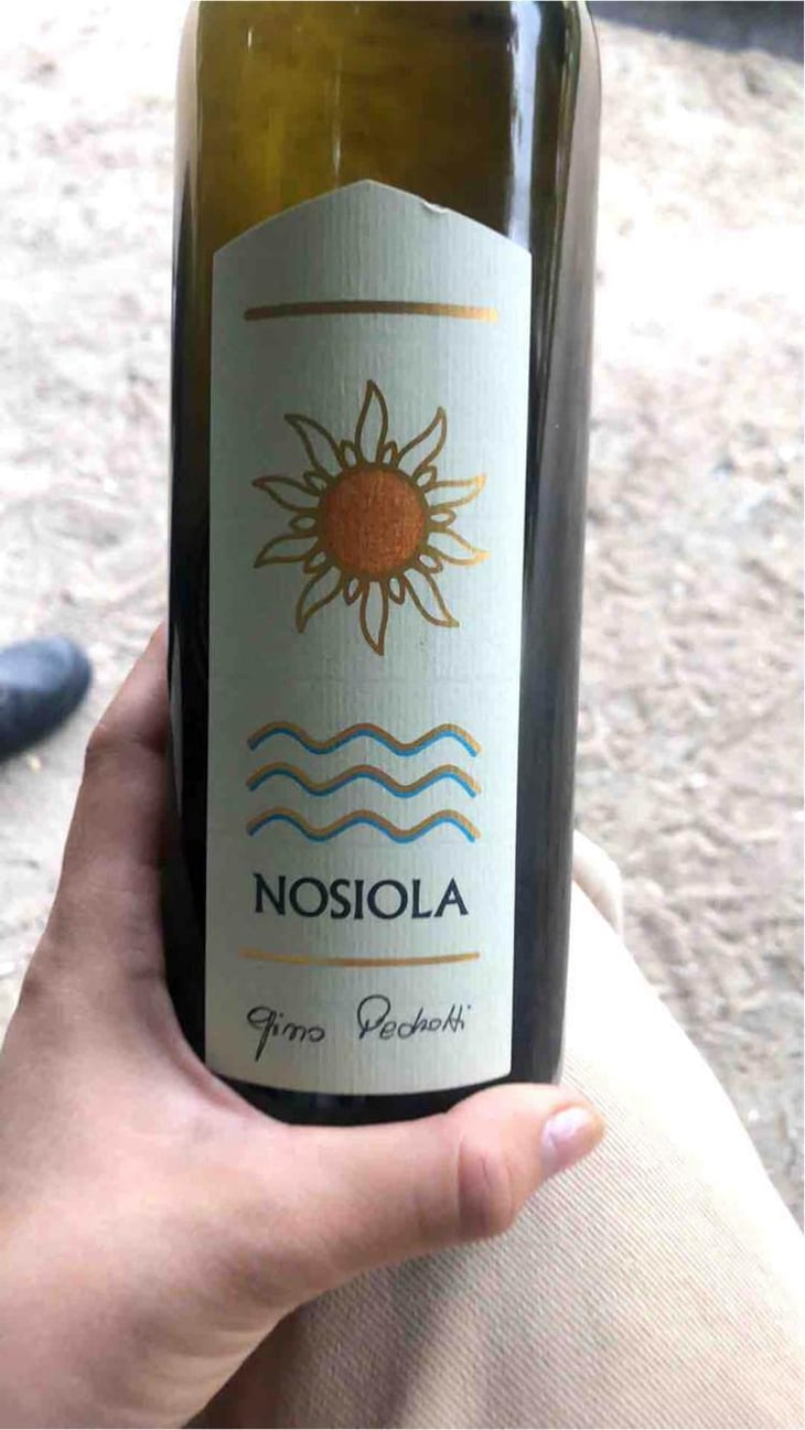 Nosiola - Azienda Agricola Gino Pedrotti - Michele Pedrotti 