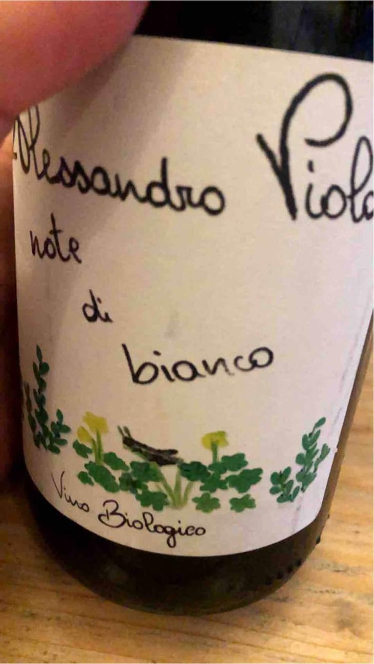 Note Di Bianco - Azienda Agricola Alessandro Viola - Alessandro Viola 