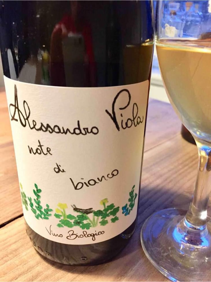 Note Di Bianco - Azienda Agricola Alessandro Viola - Alessandro Viola 