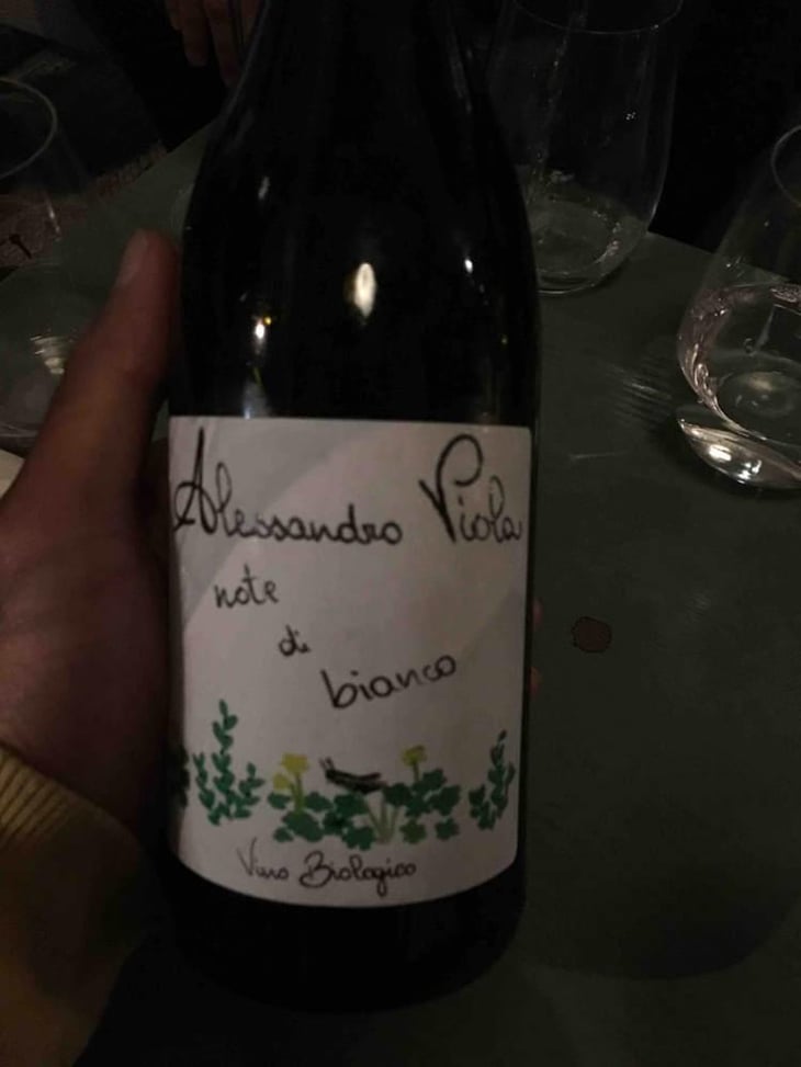 Note Di Bianco - Azienda Agricola Alessandro Viola - Alessandro Viola 