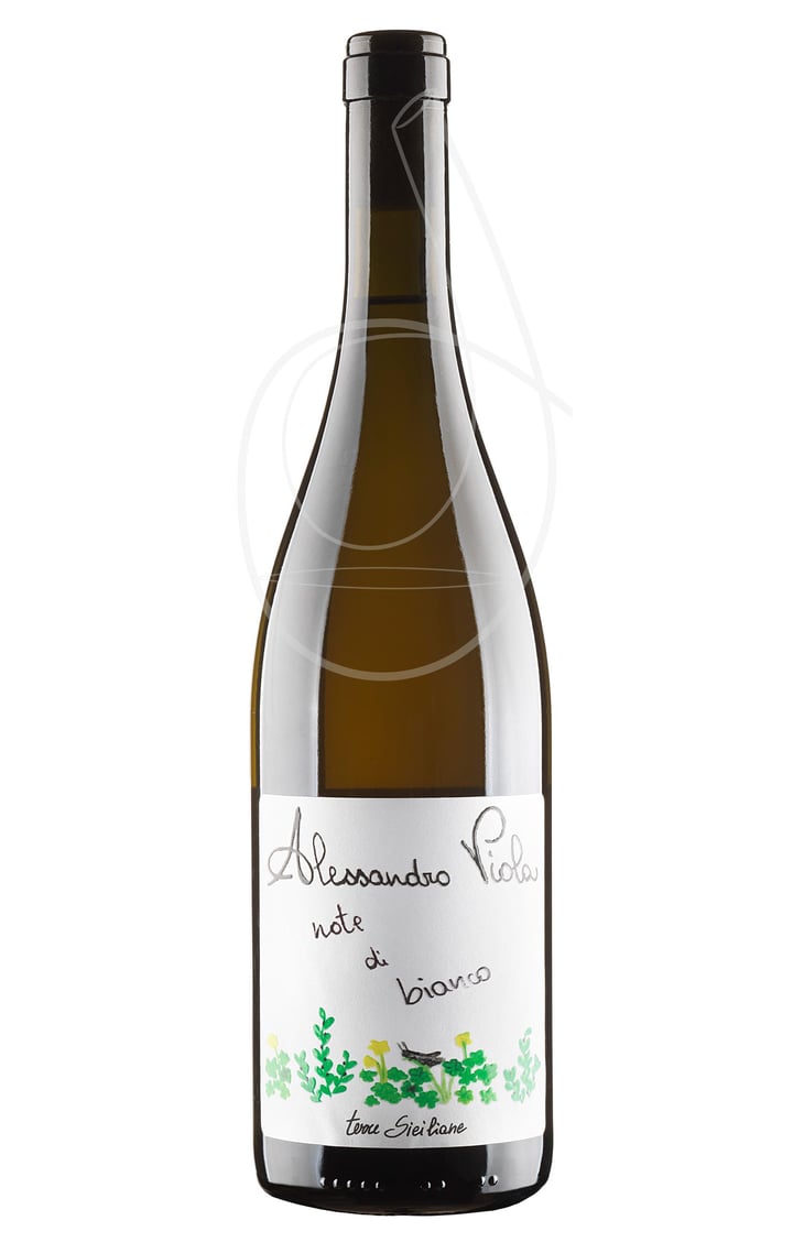 Note Di Bianco - Azienda Agricola Alessandro Viola - Alessandro Viola 
