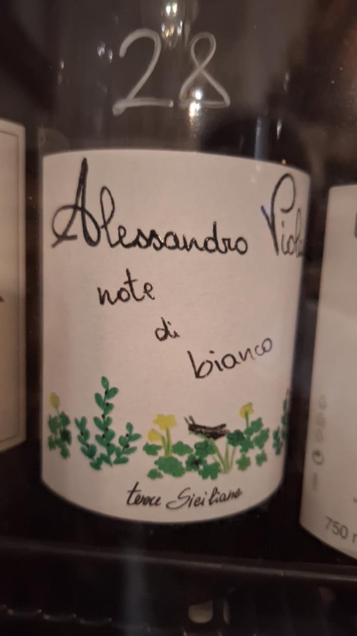 Note Di Bianco - Azienda Agricola Alessandro Viola - Alessandro Viola 