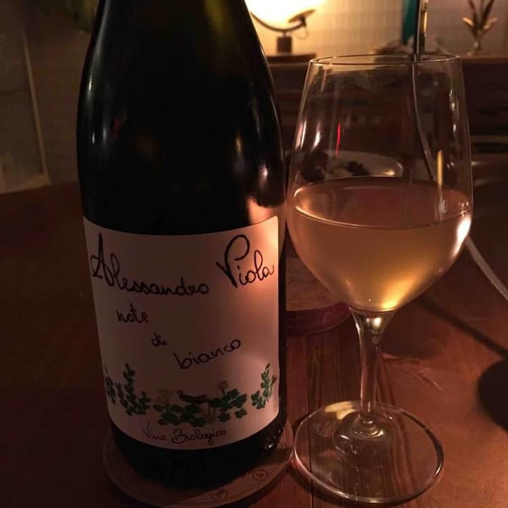 Note Di Bianco - Azienda Agricola Alessandro Viola - Alessandro Viola 