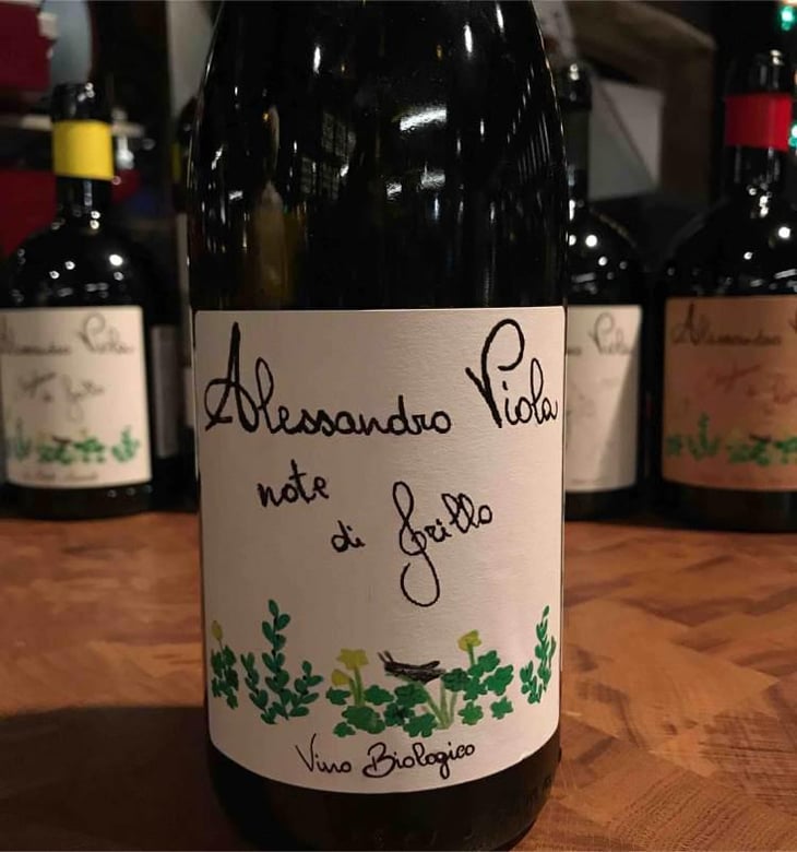 Note di Grillo - Azienda Agricola Alessandro Viola - Alessandro Viola 