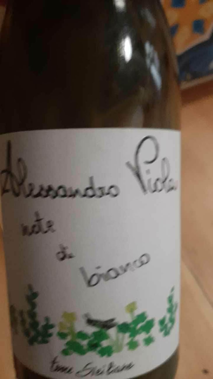 Note di Grillo - Azienda Agricola Alessandro Viola - Alessandro Viola 