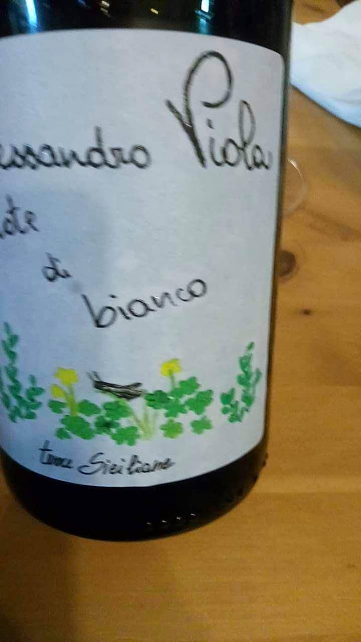 Note di Grillo - Azienda Agricola Alessandro Viola - Alessandro Viola 