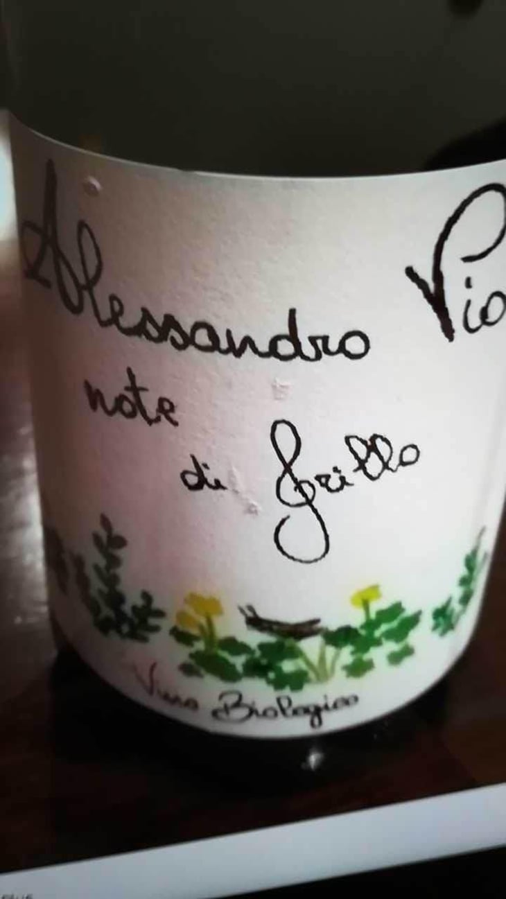Note di Grillo - Azienda Agricola Alessandro Viola - Alessandro Viola 