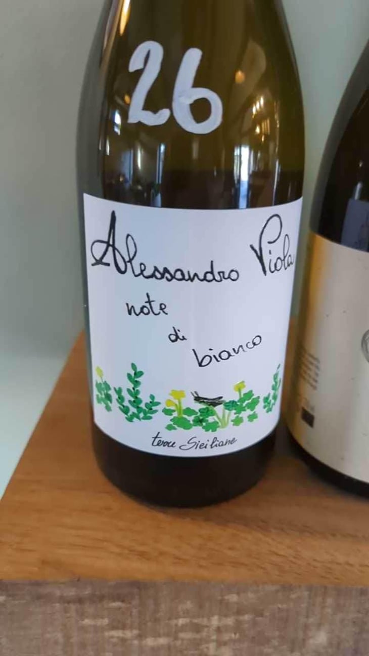 Note di Grillo - Azienda Agricola Alessandro Viola - Alessandro Viola 
