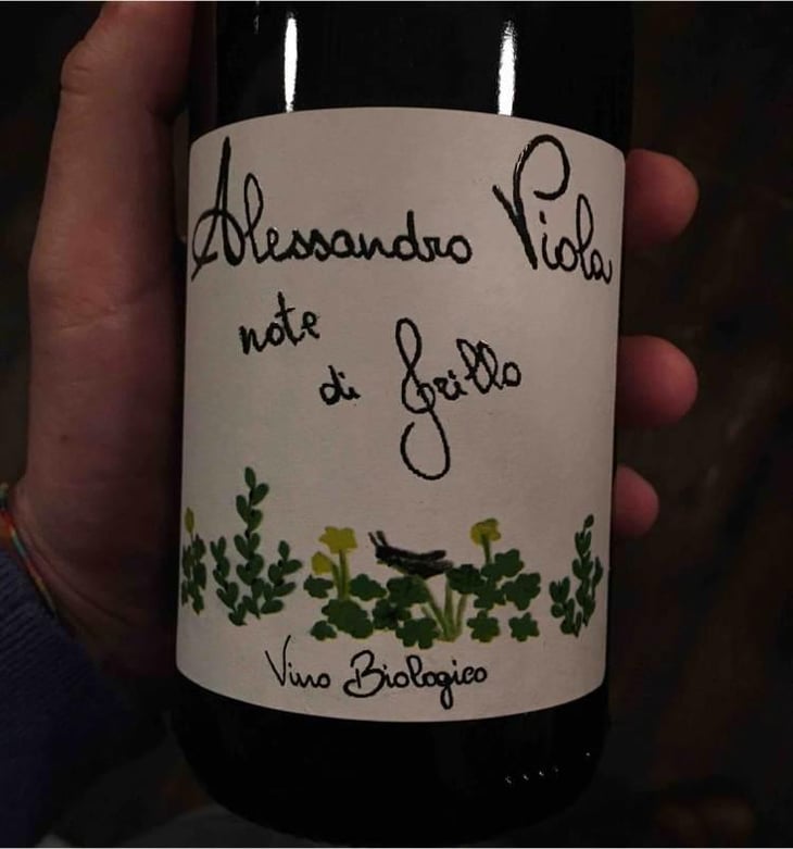 Note di Grillo - Azienda Agricola Alessandro Viola - Alessandro Viola 