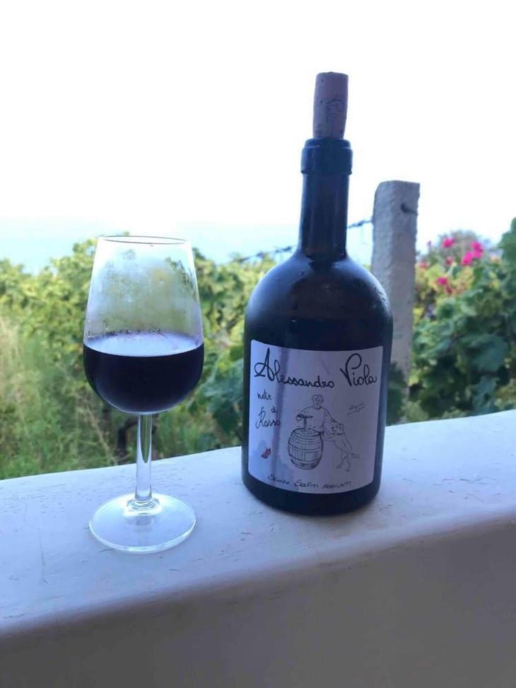 Note di Rosso - Azienda Agricola Alessandro Viola - Alessandro Viola 