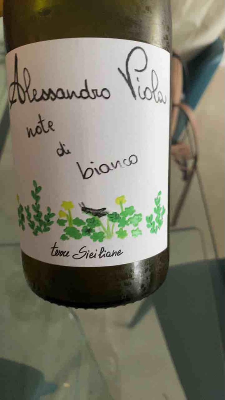 Note di Rosso - Azienda Agricola Alessandro Viola - Alessandro Viola 