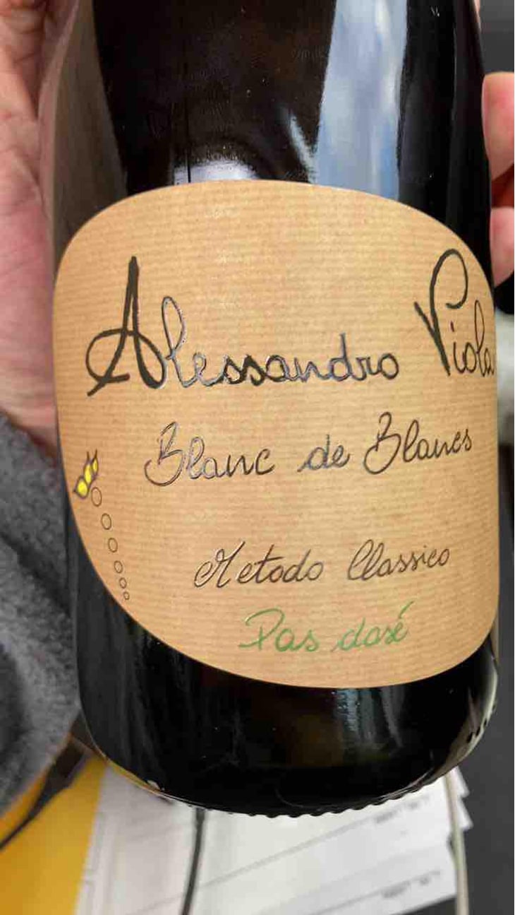 Note di Rosso - Azienda Agricola Alessandro Viola - Alessandro Viola 