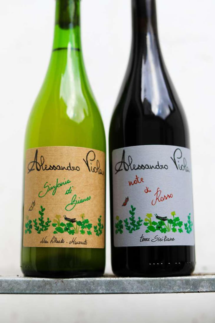 Note di Rosso - Azienda Agricola Alessandro Viola - Alessandro Viola 