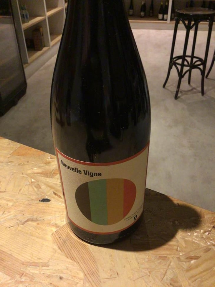 Nouvelle Vigne - Château Peybonhomme Les Tours - Vignobles Hubert - Famille Hubert -2021