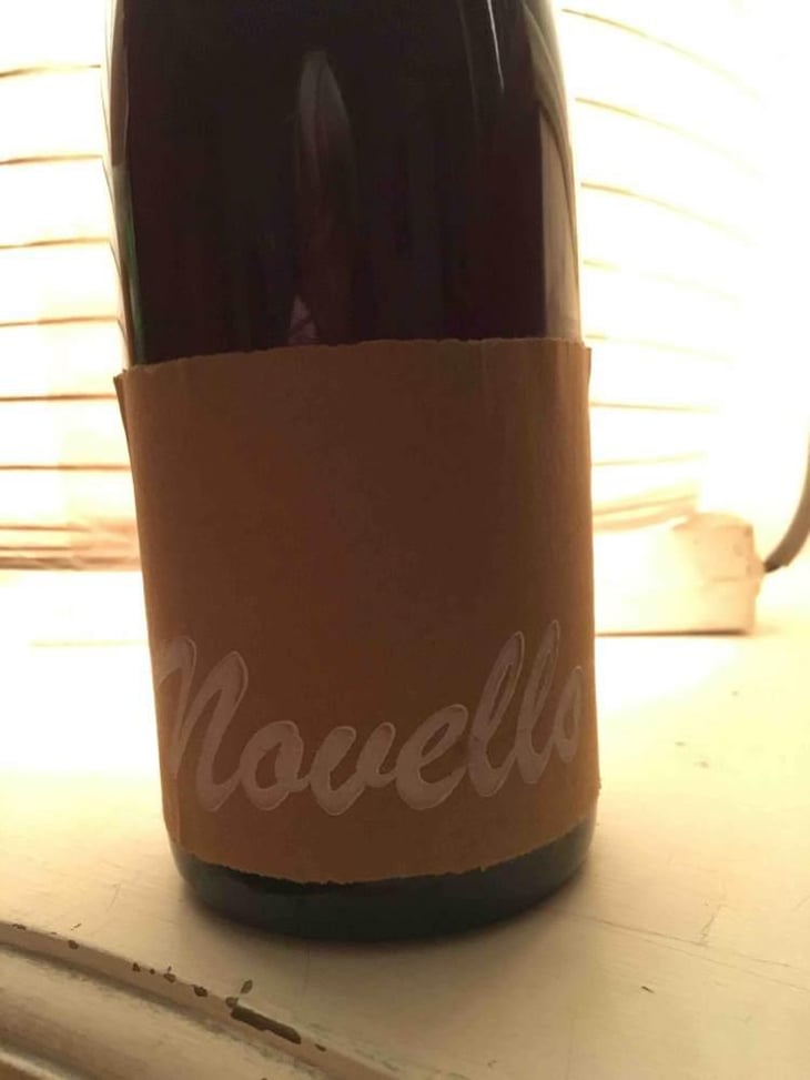 Novello - Shobbrook Wines - Tom Shobbrook 