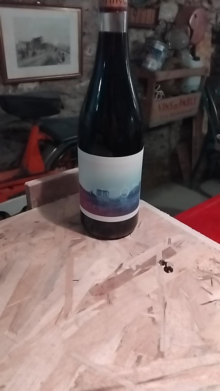 Nucôt rouge - Clos Dauliac - Pierre Baltenweck 