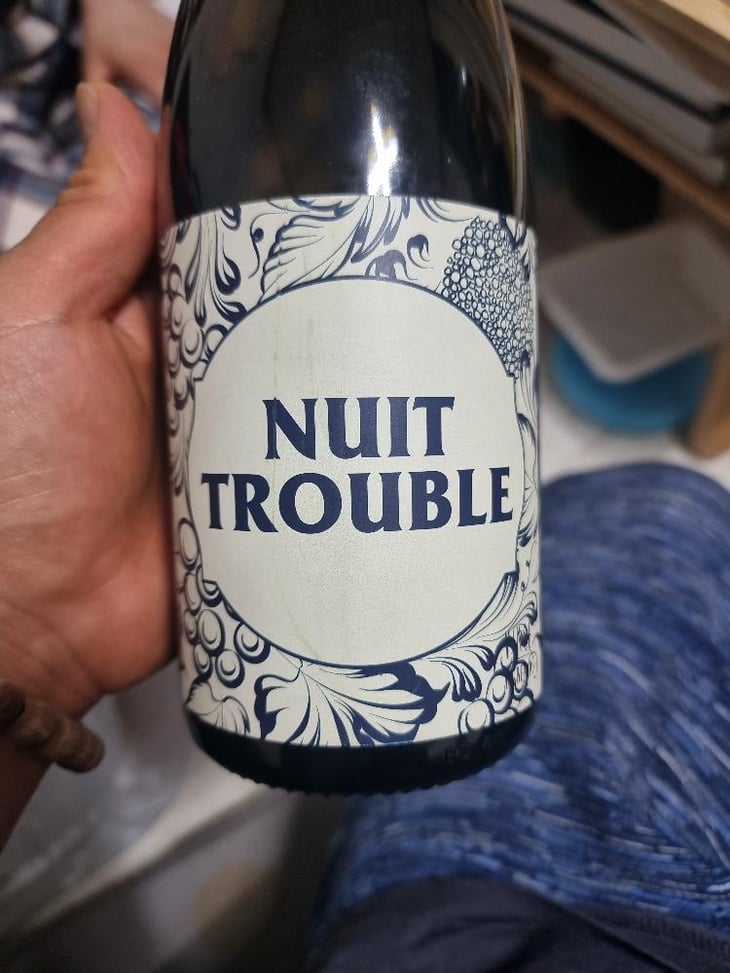 NUIT TROUBLE - No Control - Vincent Marie -2020