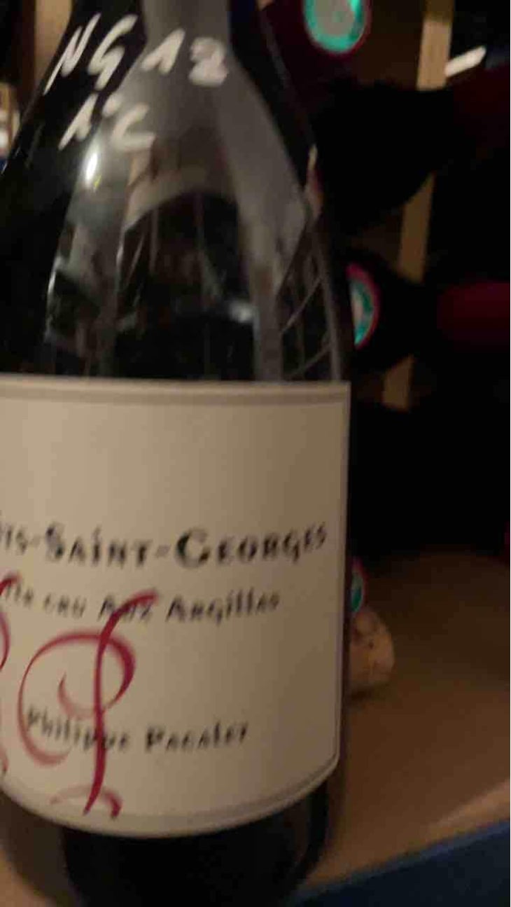 Nuits-Saint-Georges 1er Cru "Aux Argillas" - Philippe Pacalet - Monica et Philippe Pacalet 