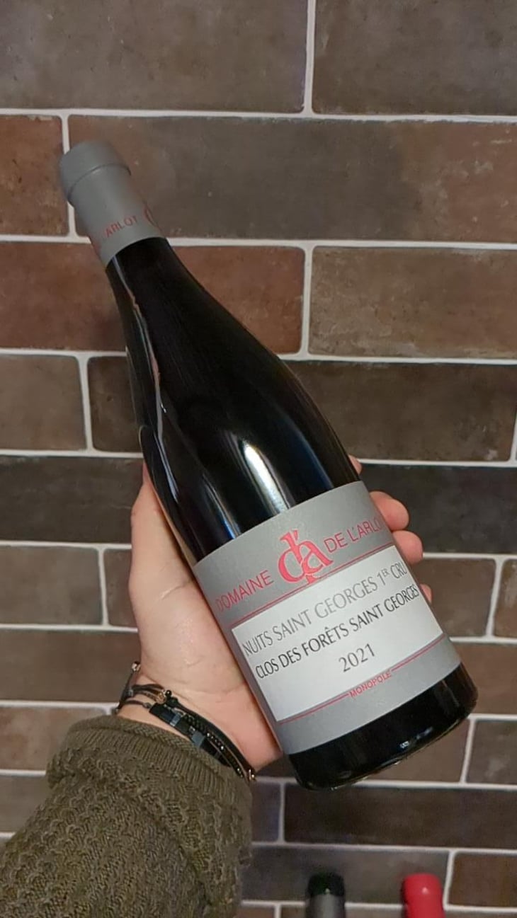 Nuits Saint Georges 1er Cru Clos des Forets - Domaine De L Arlot - Domaine De LArlot -2021