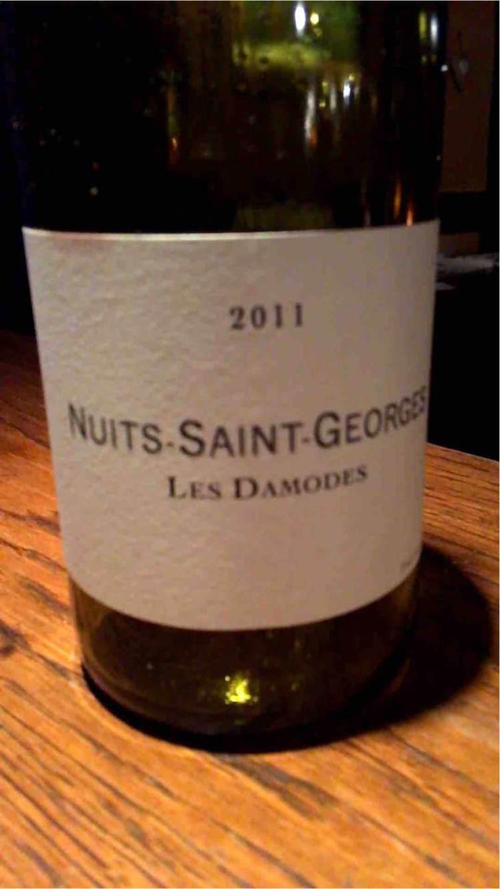 Nuits-Saint-Georges "Les Damodes" - Domaine de Chassorney - Frédéric Cossard 