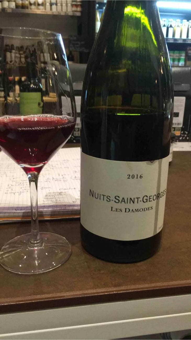 Nuits-Saint-Georges "Les Damodes" - Domaine de Chassorney - Frédéric Cossard 