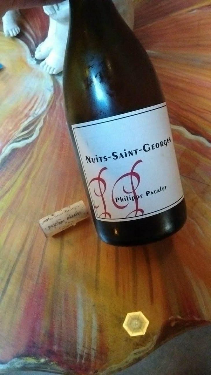 Nuits-Saint-Georges - Rouge - Philippe Pacalet - Monica et Philippe Pacalet 