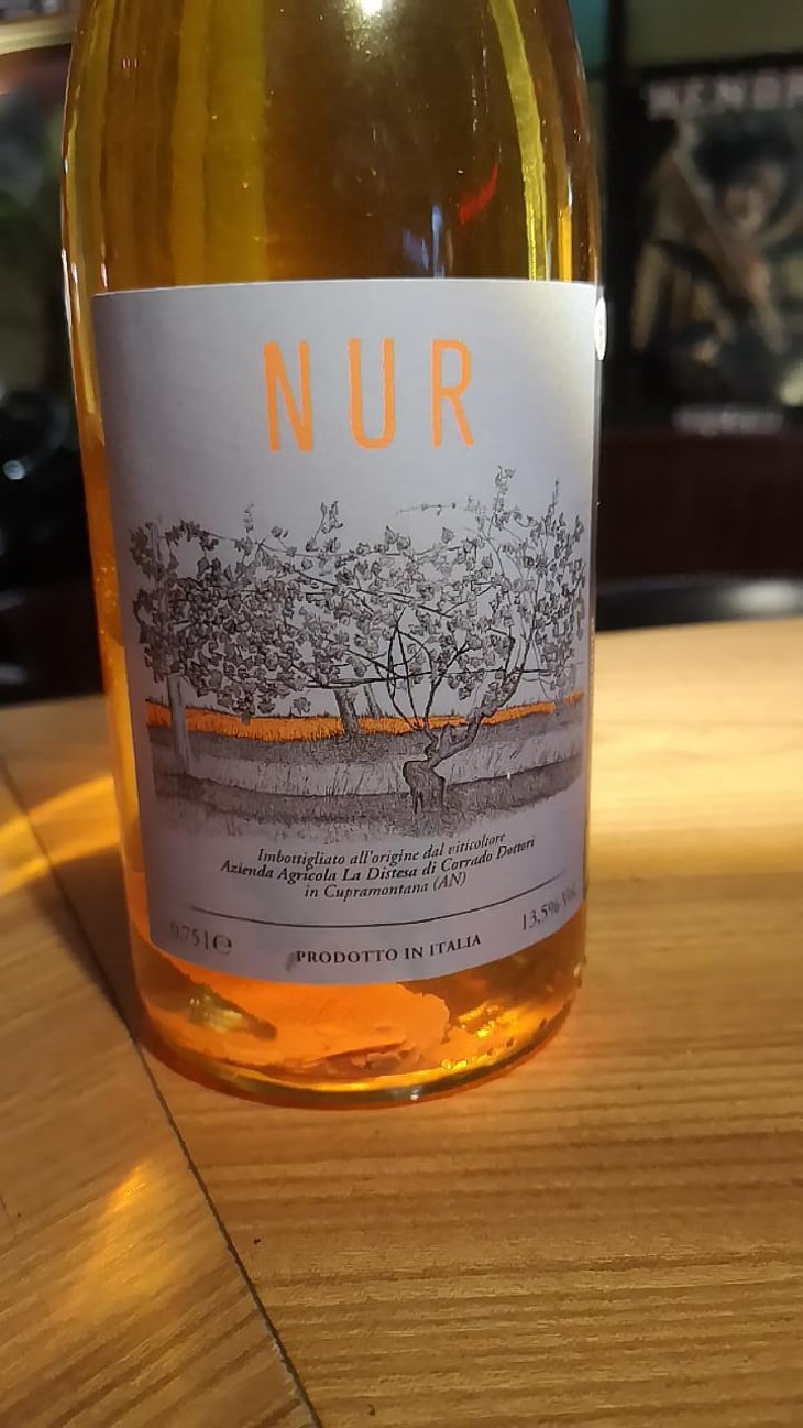 Nur - La Distesa - Corrado Dottori 