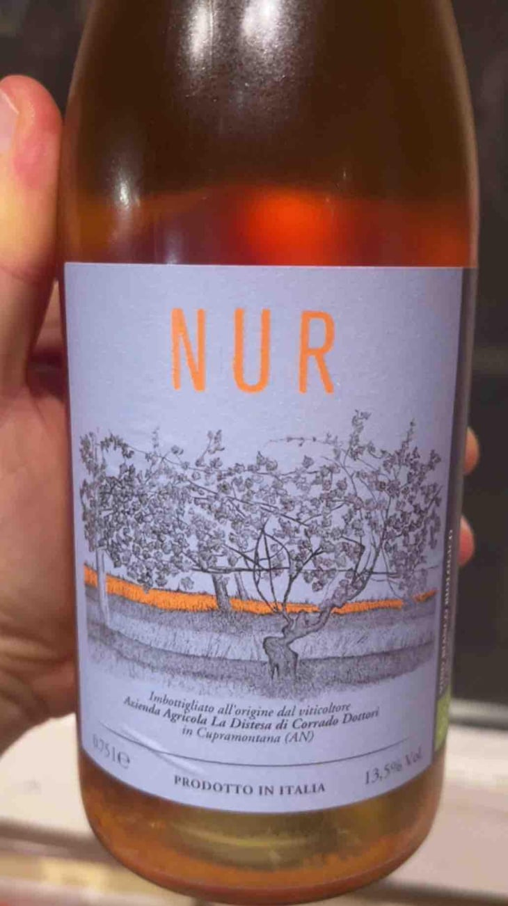 Nur - La Distesa - Corrado Dottori 