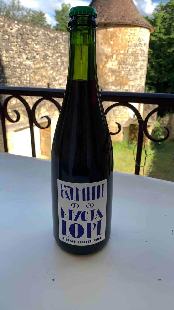 Nyctalope - Domaine la Calmette - Maya Sallée & Nicolas Fernandez 
